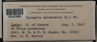 Image Associated With the Occurence